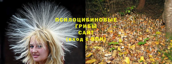 ешки Лагань