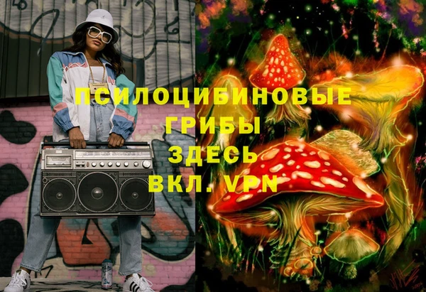 apvp Ладушкин