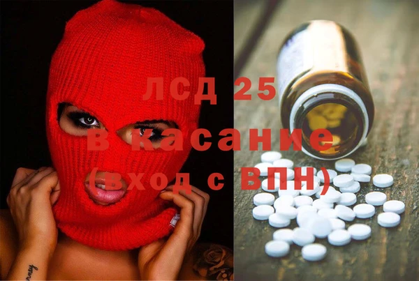 PSILOCYBIN Липки