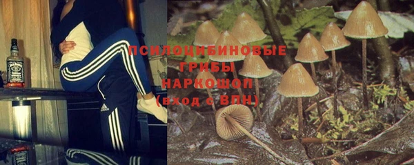 не бодяженный Лабытнанги