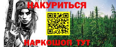 хмурый Гатчина