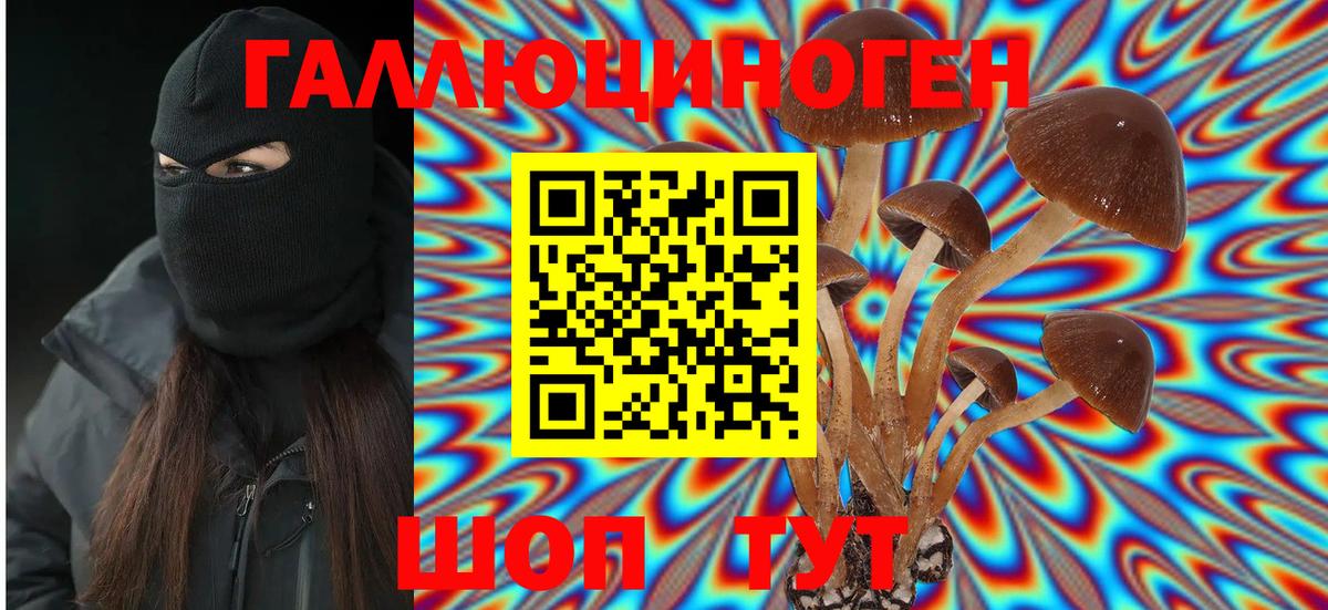 Псилоцибиновые грибы Psilocybine cubensis Михайловка