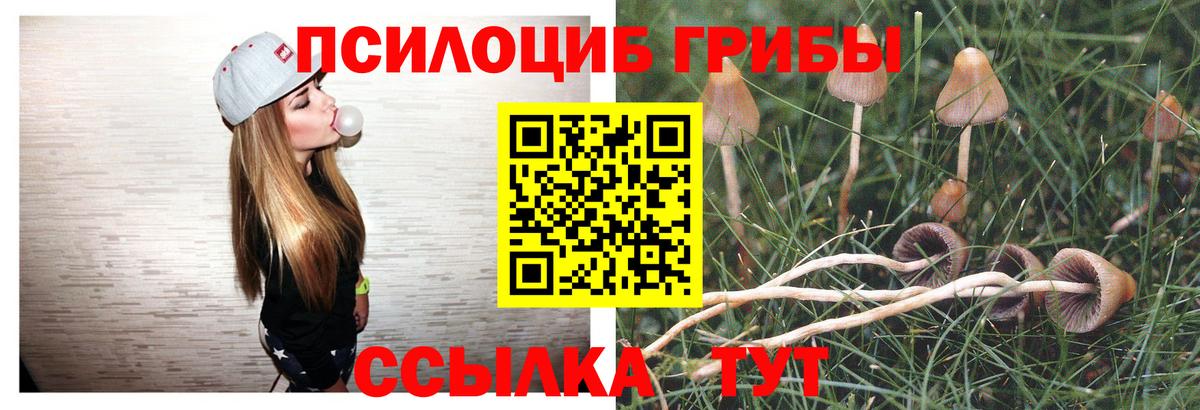 Галлюциногенные грибы мухоморы  Вход с VPN  Псилоцибиновые грибы прущие грибы  Михайловка 